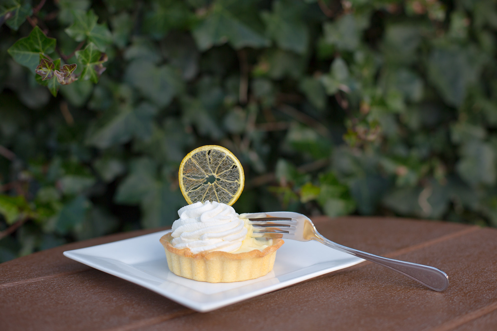 Lemon Tart at Trillium Cafe, Mendocino, photo by Cassandra Young